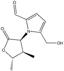 funebral Struktur