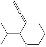 2H-Pyran,3-ethenylidenetetrahydro-2-(1-methylethyl)-(9CI) Struktur