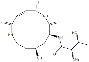 glidobactamine Struktur