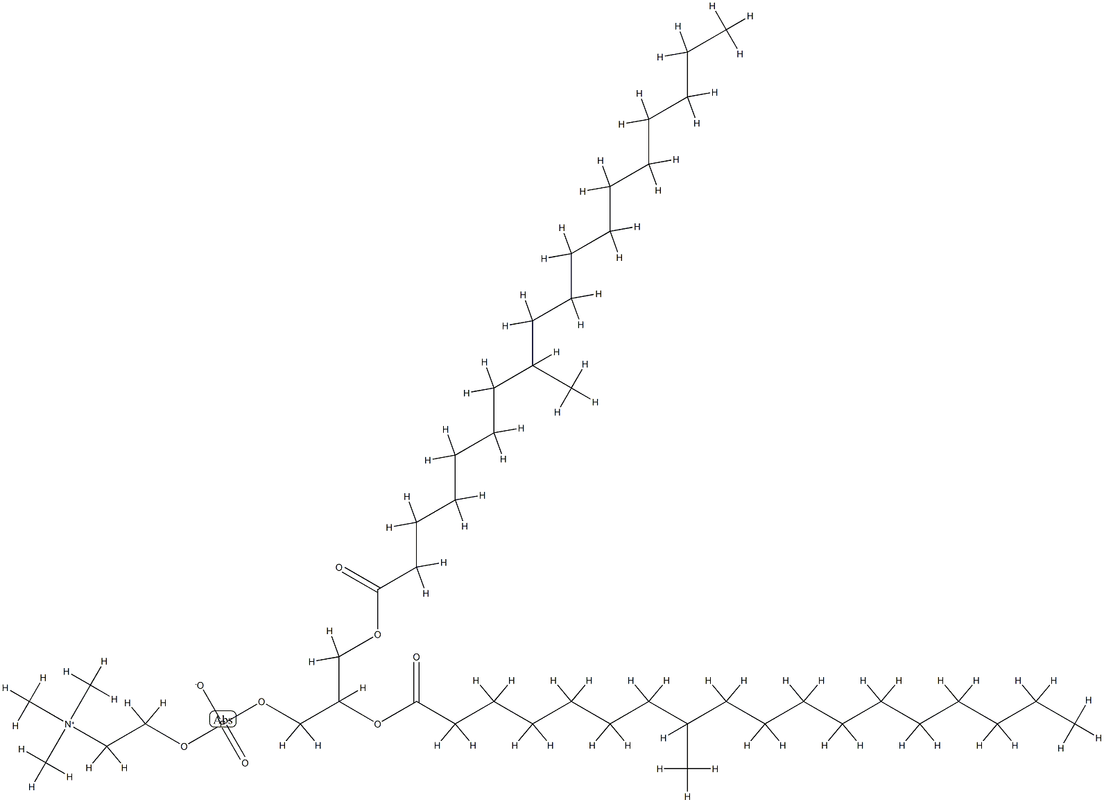 di-(8-methylstearoyl)phosphatidylcholine Struktur