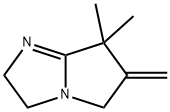 3H-Pyrrolo[1,2-a]imidazole,2,5,6,7-tetrahydro-7,7-dimethyl-6-methylene-(9CI) Struktur