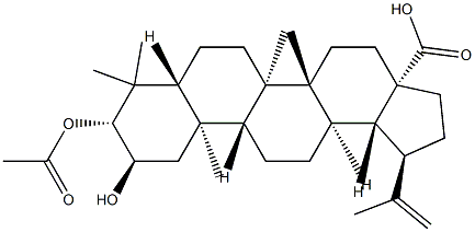 2alpha-hydroxy-3beta-acetyloxy-betulic acid Struktur