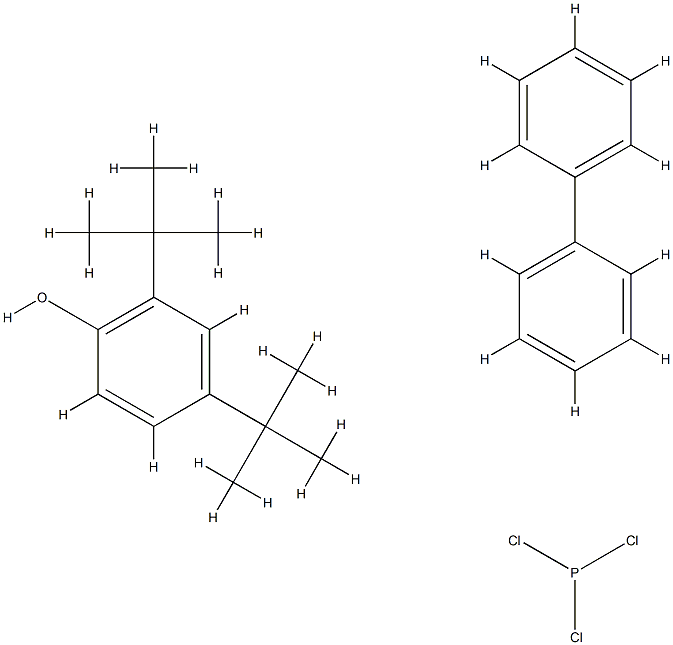 DI-TERT-BUTYLPHOSPHONITE/BIPHENYL Struktur