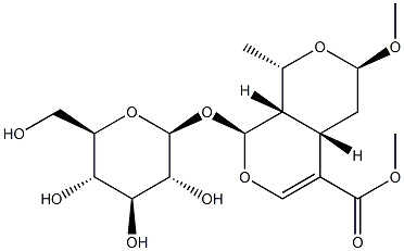 7-O-Methylmorroniside Struktur