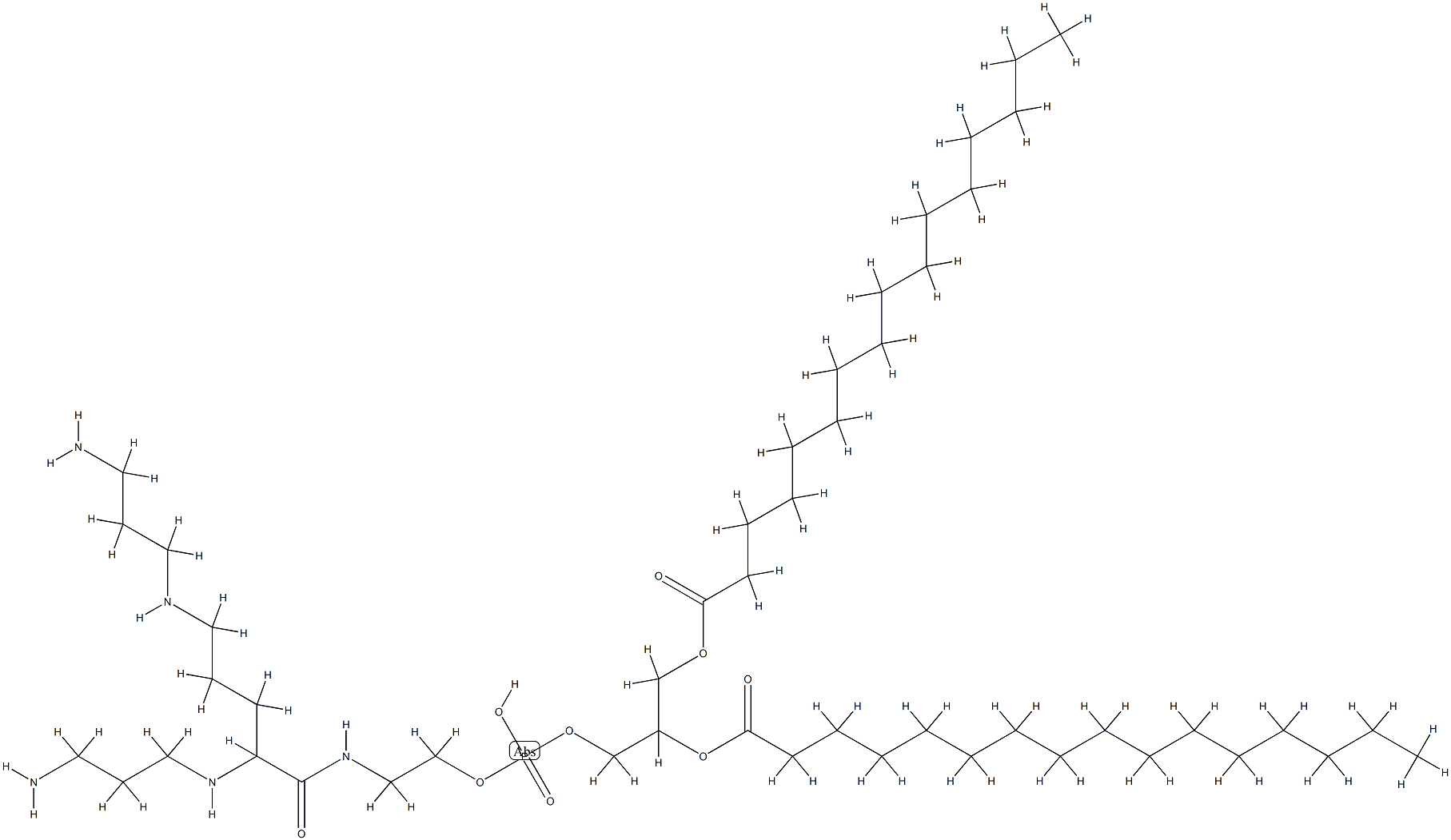 1,2-dipalmitoylphosphatidylethanolamidospermine Struktur