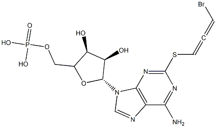 2-((3-bromo-2-oxopropyl)thio)-adenosine 3'5'-cyclic monophosphate Struktur