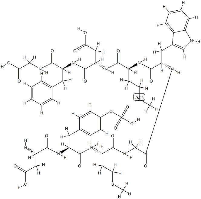 cholecystokinin, Gly- Struktur