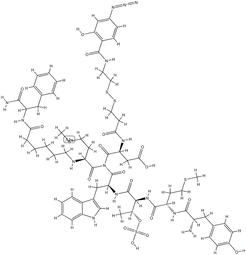 cholecystokinin (25-33),2-(4-azidosalicylamido)-1,3-dithiopropionate(Thr(28)-AHX(31))- Struktur