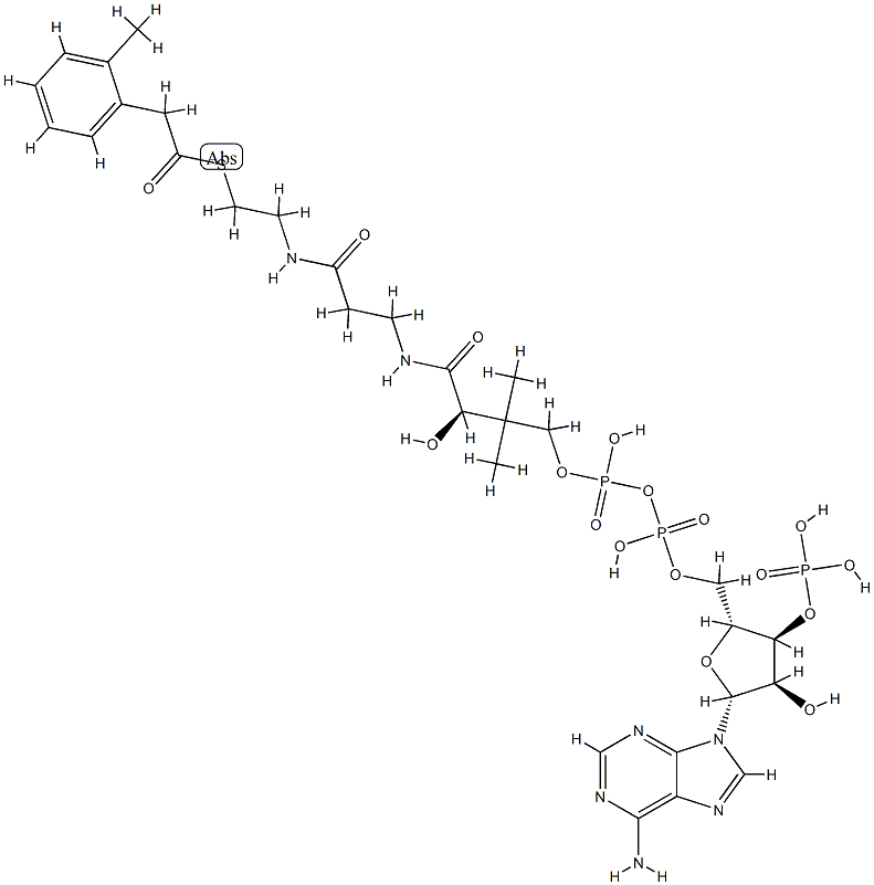 2-tolylacetyl-coenzyme A Struktur