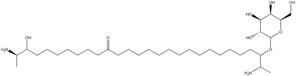 rhizochaline Struktur