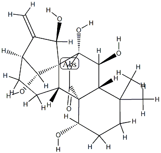 Kaur-16-en-20-oic acid,1,6,7,7,14,15-hexahydroxy-, 20,7-lactone, (1a,6b,7a,14R,15b)- (9CI)|化合物 T26031