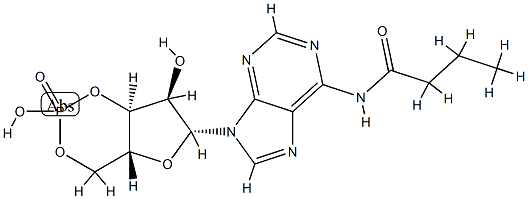 monobutyryl cyclic AMP Struktur