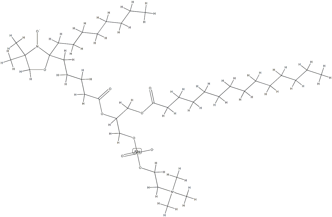 1-myristoyl-2-(6-(4,4-dimethyloxazolidine-N-oxyl)myristoyl)-3-phosphatidylcholine Struktur