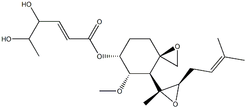 FR 111142 Struktur