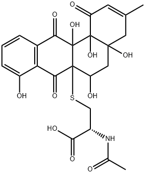 WS 009B Struktur