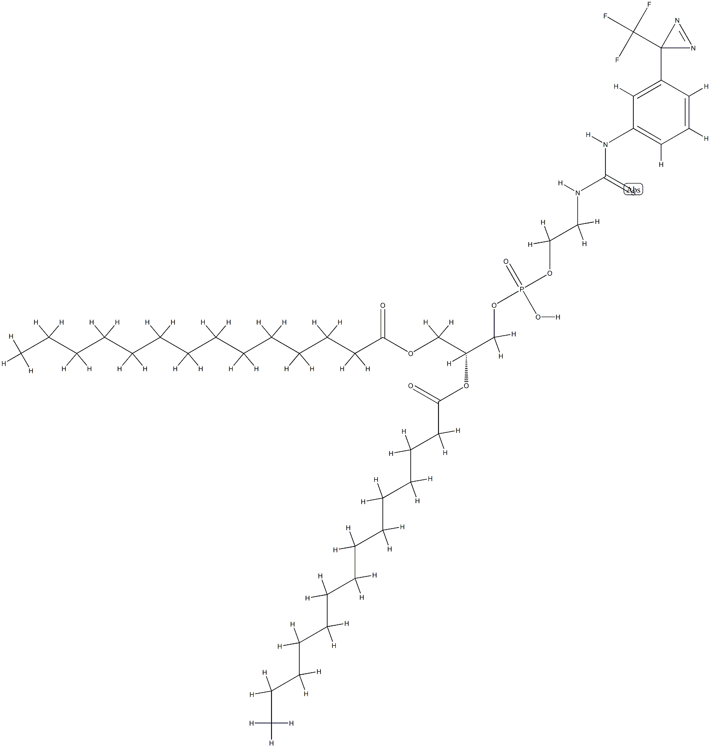 N'-(1,2-dimyristoyl-sn-glycero-3-phosphoethyl)-N-(3-(3-trifluoromethyl)diazirine)phenylthiourea Struktur