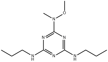 GAL-021 Struktur