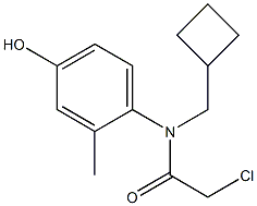 2-chloro-N-(cyclobutylmethyl)-N-(4-hydroxy-2-methylphenyl)acetamide Struktur