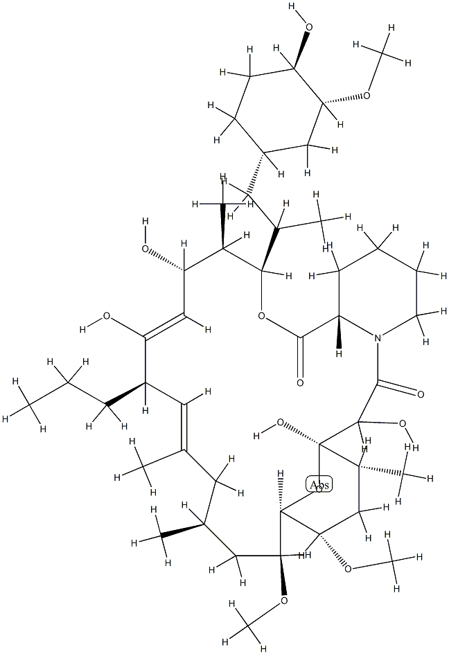 spoVJ protein Struktur