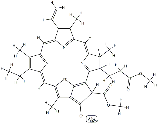 methylchlorophyllide A Struktur