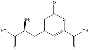 stizolobic acid Struktur