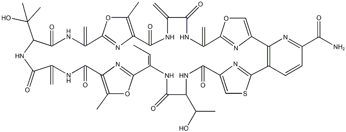 berninamycin D Struktur