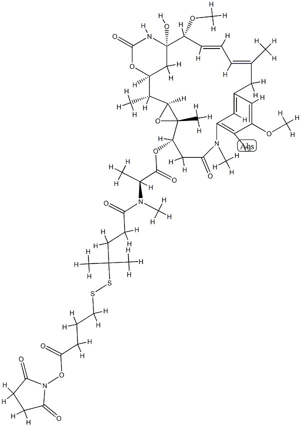 SPDB-DM4 Struktur