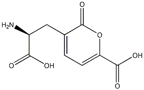 (αS)-α-Amino-6-carboxy-2-oxo-2H-pyran-3-propanoic acid Struktur