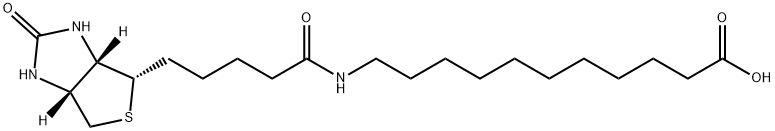 Biotin-SLC Struktur