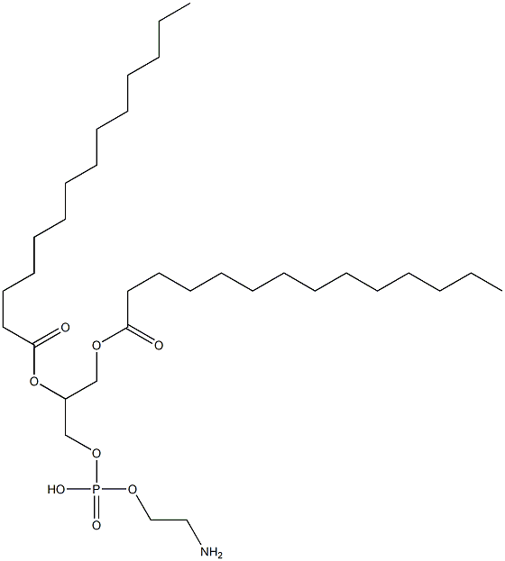 1,2-dimyristoylphosphatidylethanolamine Struktur