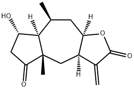 Burrodin Struktur