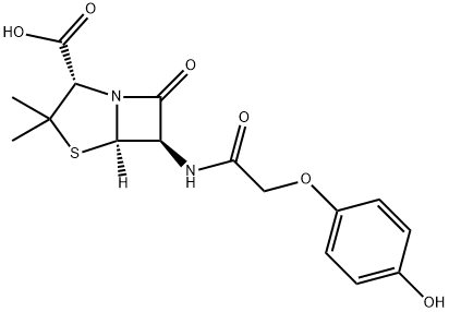 4-hydroxypenicillin V