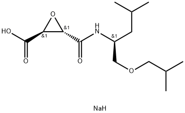 NC 2300 Struktur