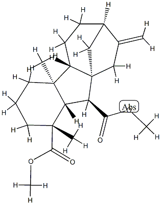 Gibberellin A12 methyl ester Struktur