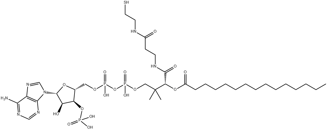 pentadecanoyl Coenzyme A Struktur