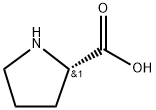 POLY-L-PROLINE Struktur