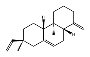 [4aS,(+)]-1,2,3,4,4a,4bα,5,6,7,8,10,10aα-Dodecahydro-4aβ,7β-dimethyl-1-methylene-7α-vinylphenanthrene Struktur