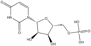 Polyuridylic acid potassium salt Struktur