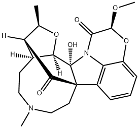 Dichotine Struktur