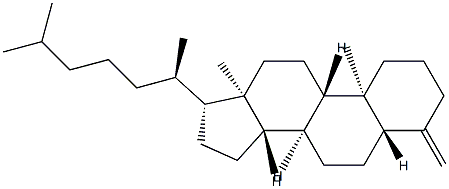 4-Methylene-5α-cholestane Struktur