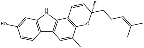 MAHANINE Struktur