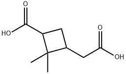 Pinic Acid (DiastereoMeric Mixture)