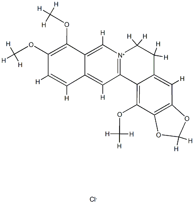 1-Methoxyberberium Struktur