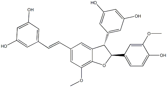 shegansu B Struktur