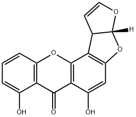 DMST Struktur