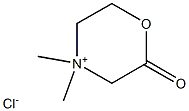 IPO 196 Struktur