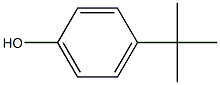 4-(1,1-DIMETHYLETHYL)-PHENOL,HOMOPOLYMER Struktur