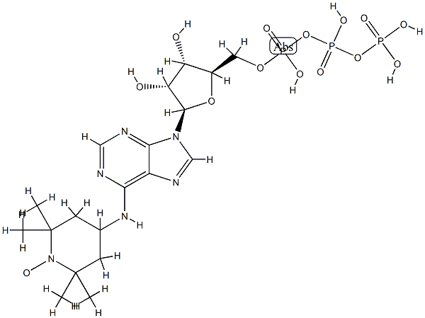 6-(2,2,6,6-tetramethylpiperidine-1-oxyl)-adenosine triphosphate Struktur