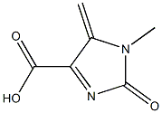 1H-Imidazole-4-carboxylicacid,2,5-dihydro-1-methyl-5-methylene-2-oxo-(9CI) Struktur