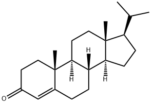 guneribone Struktur